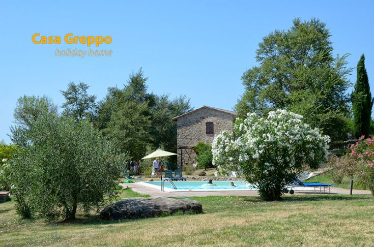 Steinbau mit Schwimmbad und Wellnessbereich, ideal für Familien und Gruppen von Freunden.