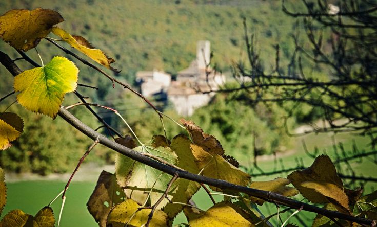 Eine Herbstlandschaft mit gelben Blättern, die eine ruhige ländliche Aussicht umrahmen.