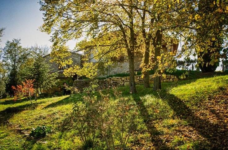 Ein Steingebäude mit Wohnungen, einem Pool und einem Wellnessbereich, umgeben von üppigem Grün.