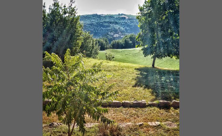Eine malerische Aussicht auf eine grüne Landschaft mit Pflanzen und Hügeln, ideal für eine Naturflucht.