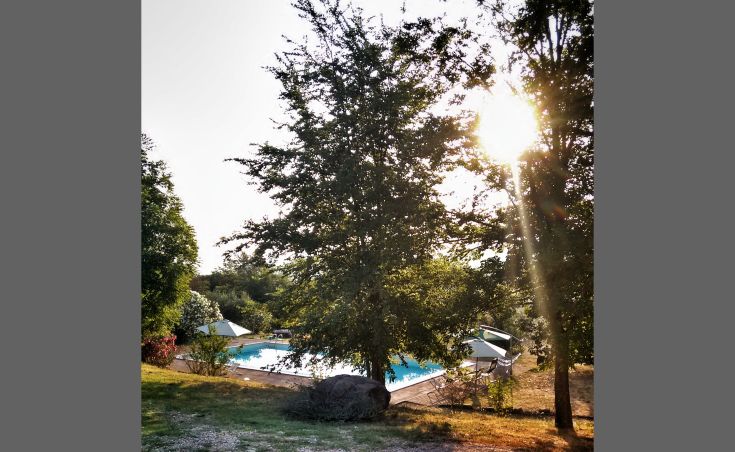 Ein entspannender Moment am Pool, umgeben von Grün, perfekt für ruhige Zeiten.