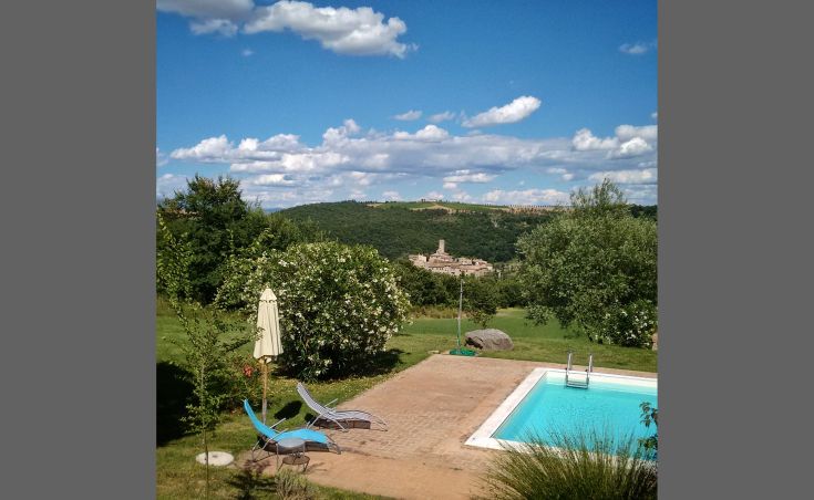 Ein Pool, umgeben von einem grünen Garten, mit Blick auf ein mittelalterliches Dorf.
