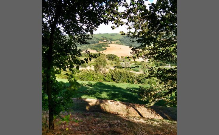 Eine malerische Ansicht von grünen Hügeln und sonnigen Wiesen, eingebettet in die umbrische Natur.