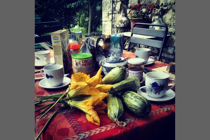 Ein im Garten gedeckter Tisch mit Zucchiniblüten und anderen Köstlichkeiten. Eine gemütliche und rustikale Atmosphäre für das Frühstück.