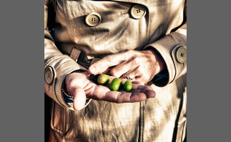 Eine Hand hält grüne Oliven, ein Symbol für Frische und Einfachheit, in einem ruhigen Kontext.