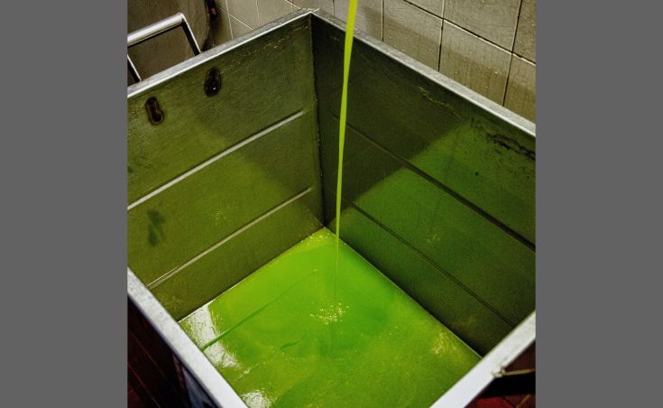 Ein großer Metallbehälter enthält eine leuchtend grüne Flüssigkeit.