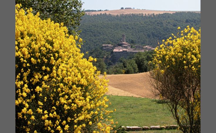 Ein Bauernhaus, umgeben von Vegetation, mit gelben Blumen im Vordergrund und Blick auf ein mittelalterliches Dorf.