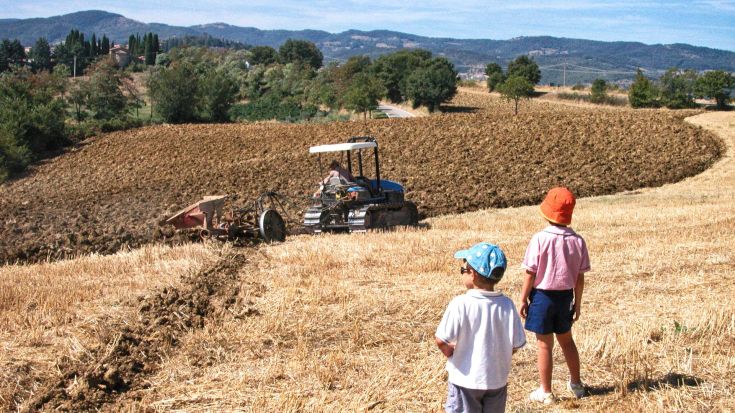 Zwei Kinder beobachten einen Traktor, der auf einem Feld arbeitet, umgeben von üppigem Grün.