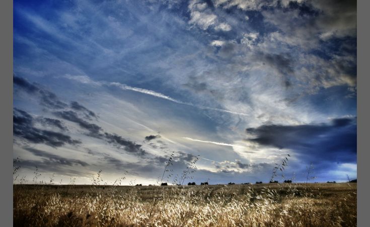 Eine ruhige Landschaft mit verstreuten Wolken am Himmel, die ein Gefühl von Ruhe und Schönheit vermittelt.