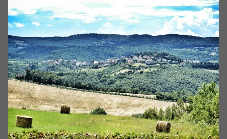 Landschaft mit üppigen grünen Hügeln und einem fernen mittelalterlichen Dorf.