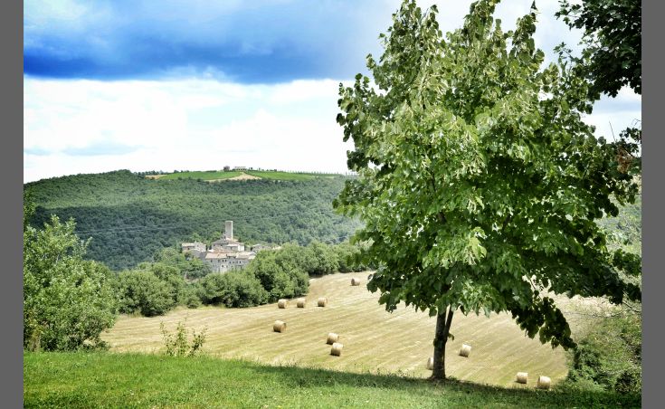 Panorama eines Bauernhauses, umgeben von grünen Hügeln mit geerntetem Heu, ideal für eine Pause in der Natur.