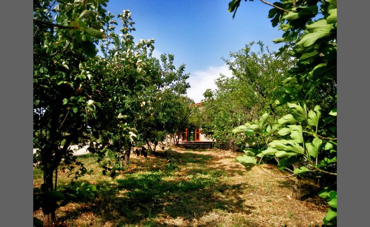 Ein Bauernhaus mit Apartments, umgeben von Grünflächen, mit einem Pool und einem Wellnessbereich.