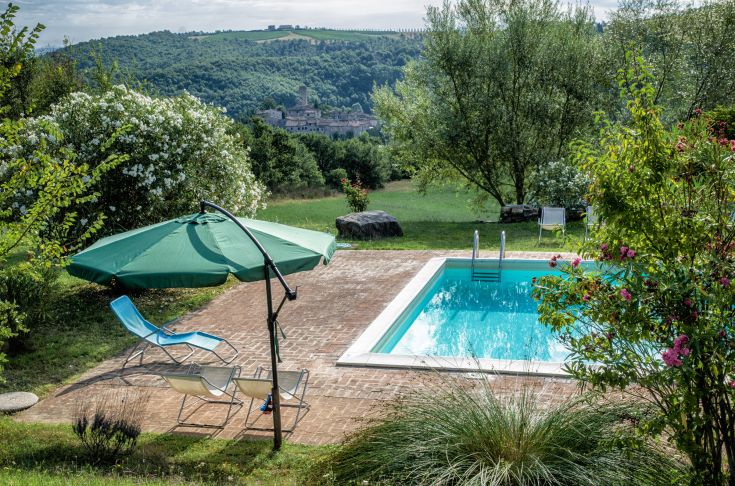 Private Pool, umgeben von Grün, ein ruhiger Ort zum Entspannen.