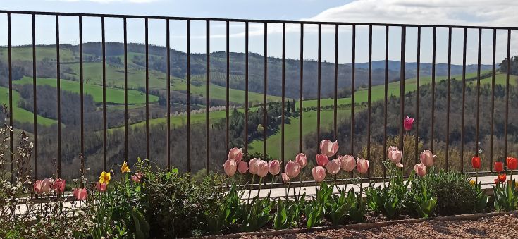 Eine Landschaft mit Tulpen im Vordergrund und sanften Hügeln im Hintergrund.