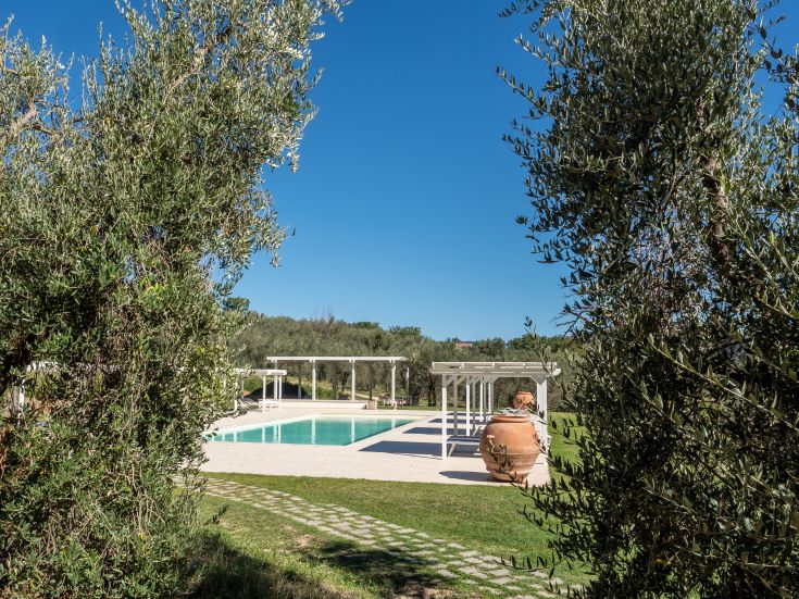 Una piscina situata tra gli ulivi di un agriturismo, immersa nella tranquillità della campagna.
