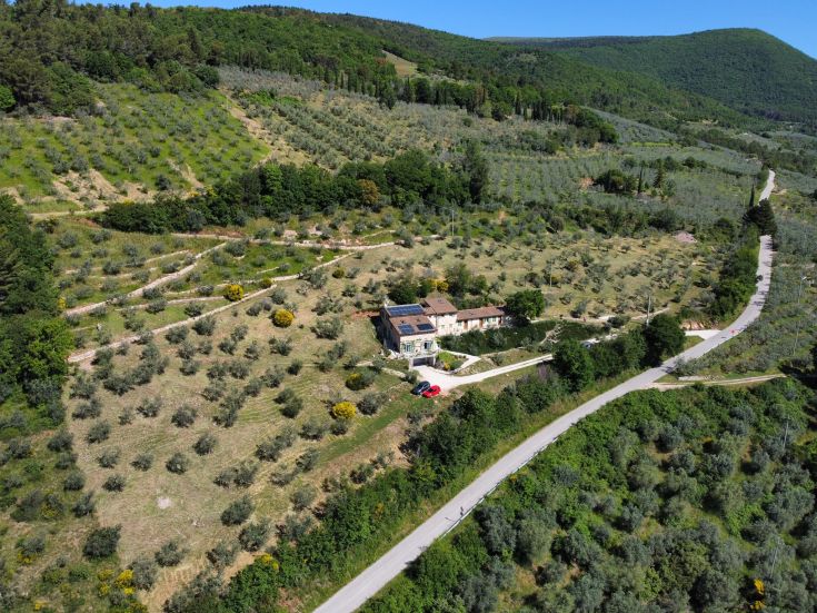 A country house surrounded by olive groves in Umbria, with a view of the lush green landscape.