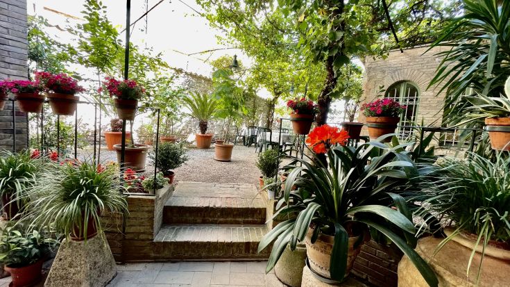 Eine Szene mit einem Garten, der mit verschiedenen farbenfrohen Pflanzen und Blumen eine einladende Atmosphäre schafft.