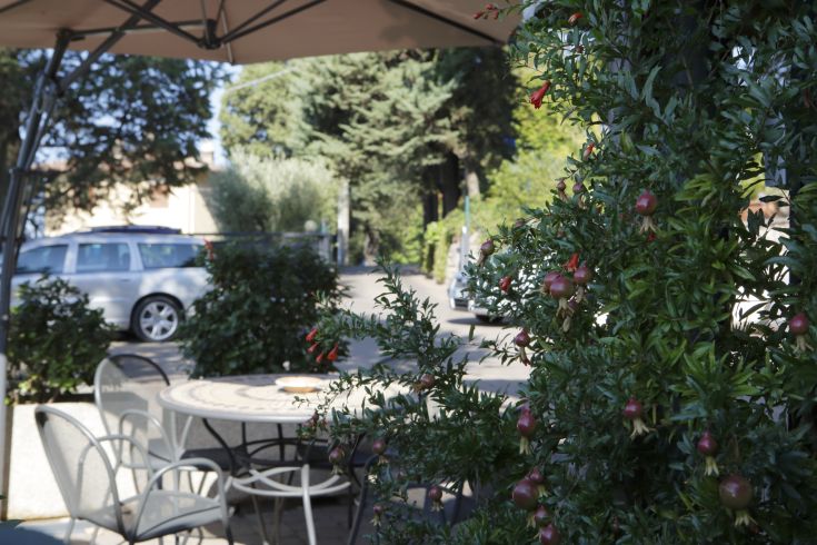 Un'area di relax all'aperto circondata da piante verdi e strade tranquille in un ambiente sereno.