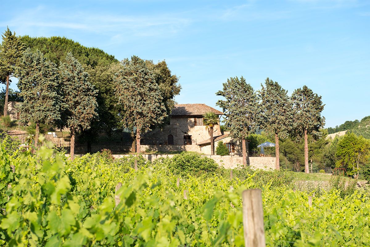 Agriturismo immerso nella natura, circondato da vigneti e boschi, ideale per una pausa tranquilla.