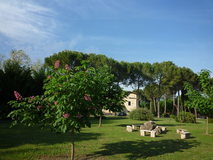 Un giardino curato con piante e fiori variopinti, ideale per un momento di relax.