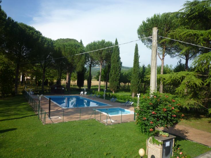 Una piscina circondata da verde con piante e un'atmosfera serena.