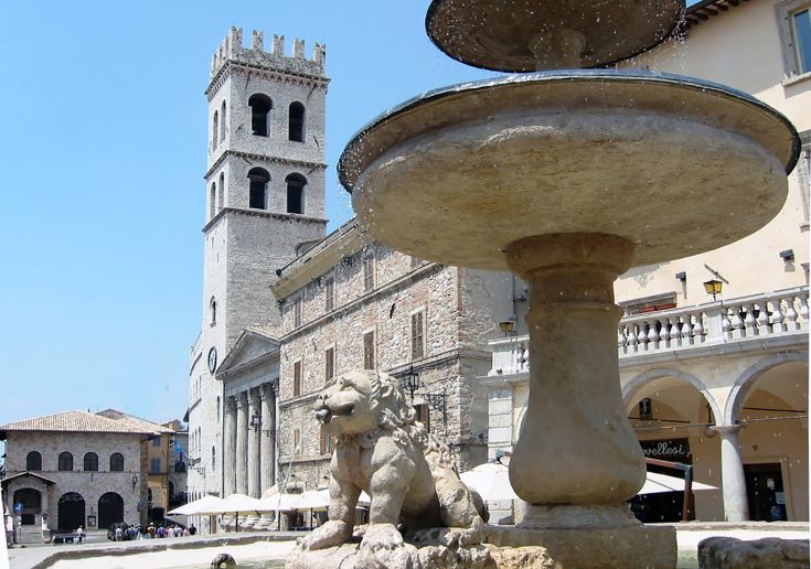 Una fontana decorativa con un leone, con la torre di una chiesa sullo sfondo, situata in un centro urbano.