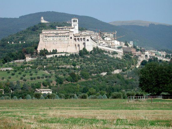 Panorama di Assisi con uliveti e il paesaggio collinare circostante.