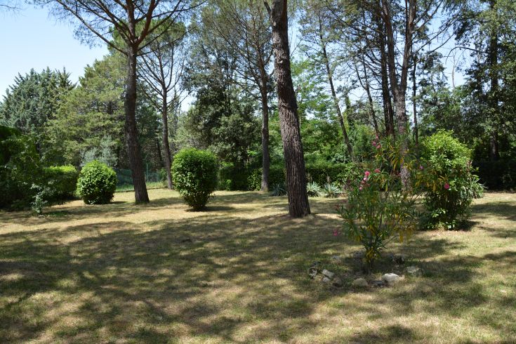 Ein gut gepflegter Park mit Bäumen und Blumenbeeten, ideal zum Entspannen im Freien.