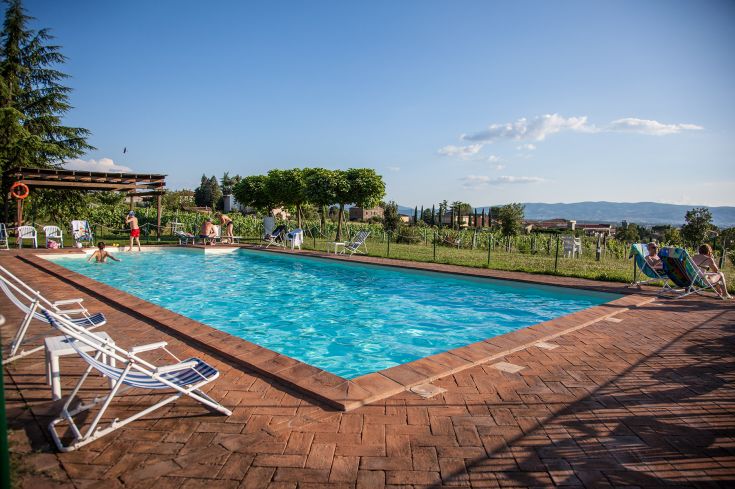 Un'area relax con piscina immersa nella natura, circondata da vigneti e vegetazione, adatta per momenti di tranquillità.