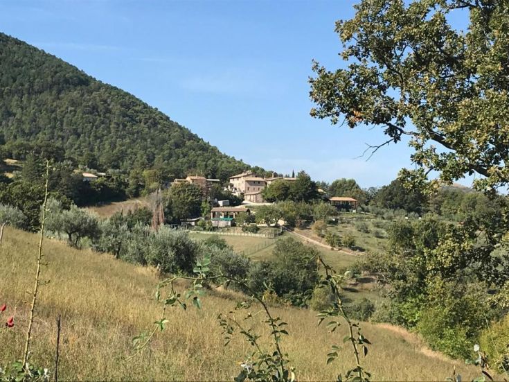 Umgeben von Grün bietet diese Unterkunft eine ruhige Umgebung mit lokalen traditionellen Gerichten. Nur wenige km von Assisi entfernt.