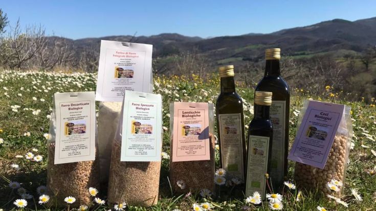 Leckere Bio-Produkte in einer natürlichen Umgebung präsentiert, perfekt für alle, die Qualität und Ruhe suchen.