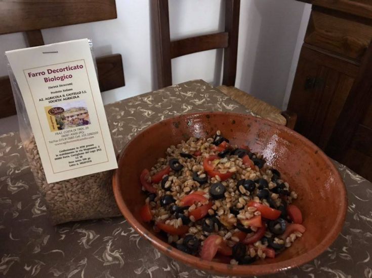 Biologischer Dinkelsalat mit frischen Tomaten und Oliven, ein leichtes und nahrhaftes Gericht.