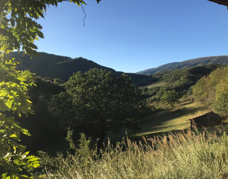 Eine ruhige Szene mit grünen Hügeln und einer natürlichen Umgebung, gekennzeichnet durch einen klaren Himmel.