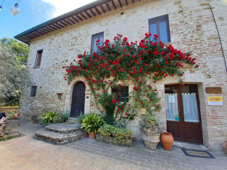 Un agriturismo con un ingresso adornato da piante e fiori che ne arricchiscono l'atmosfera.