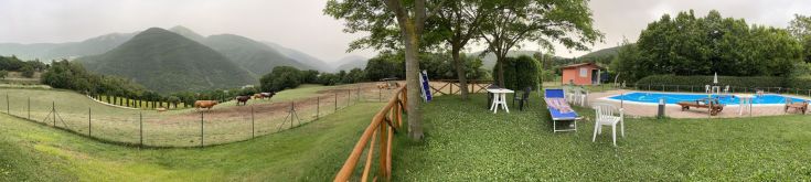 Scena di un paesaggio verde con mucche, piscina e zona relax immersa nella natura umbra.