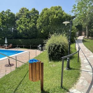 Una piscina circondata da alberi e piante, perfetta per un momento di relax all'aperto.
