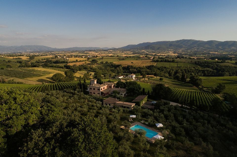 A farmhouse with a pool surrounded by olive trees, offering independent apartments in a green setting.