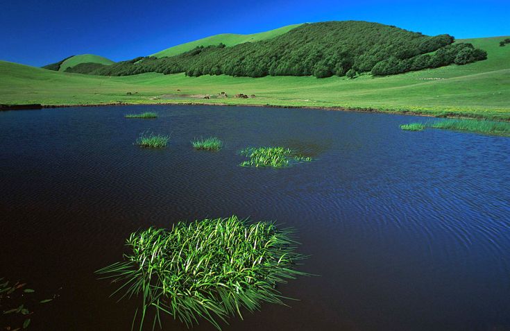 Un paysage paisible avec un lac entouré de collines verdoyantes sous un ciel clair.