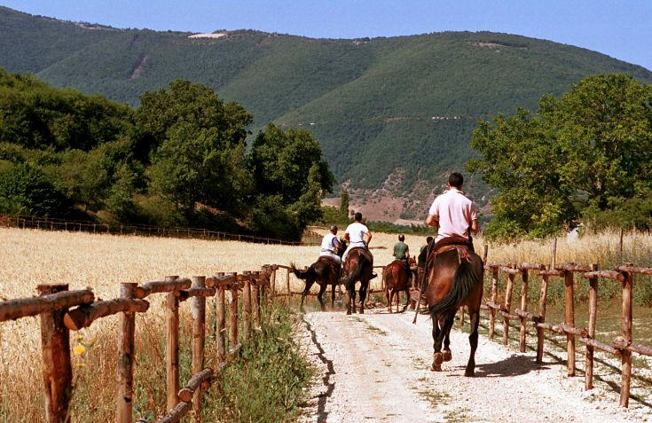 Un groupe de personnes à cheval dans un paisible paysage montagneux verdoyant.