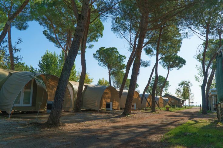 Glamping sites in a green environment, surrounded by trees and situated in a peaceful setting.