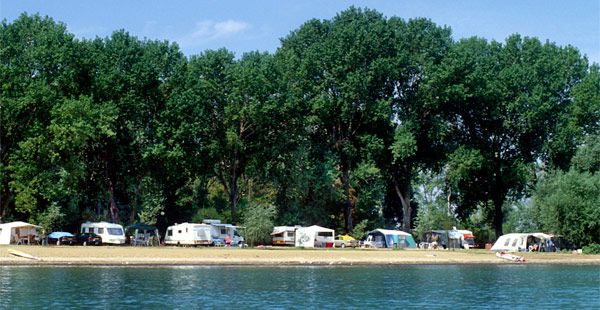 Camping entouré de verdure, surplombant le lac Trasimène, parfait pour ceux qui recherchent la détente en pleine nature.