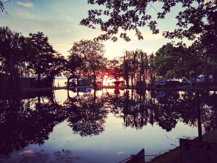 Un coucher de soleil serein se reflétant sur un lac entouré d'arbres et de végétation locale.