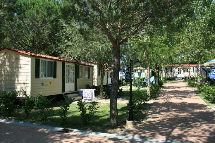 Scena di mobilhome sistemate in un'area verde, ideali per un soggiorno tranquillo e rilassato.