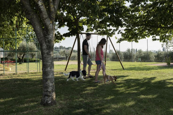 Una camminata nel parco soleggiato con due cani che si godono l'area verde.