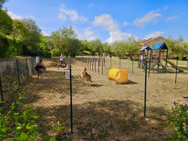 area agility dog completamente recintata, per il divertimento dei vostri amici a 4 zampe.