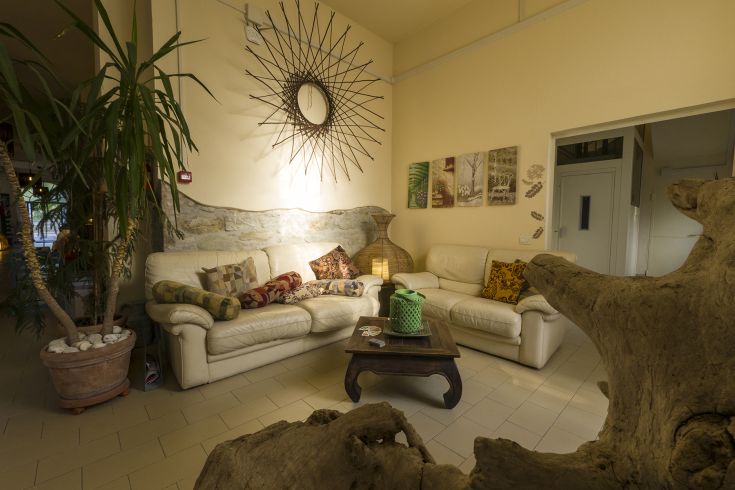 Ein einfaches Wohnzimmer mit weißen Sofas, einigen Dekorationen und grünen Pflanzen.