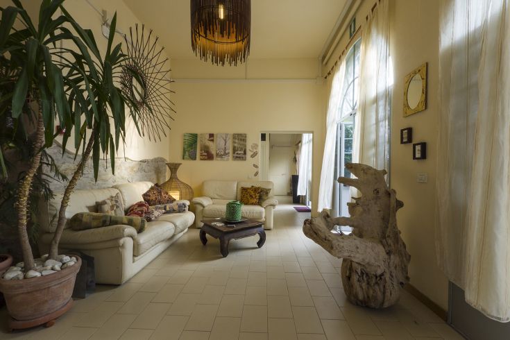 Gemütliche Umgebung mit hellen Sofas, einfachen Dekorationen und Pflanzen. Natürliches Licht schafft eine entspannte Atmosphäre.