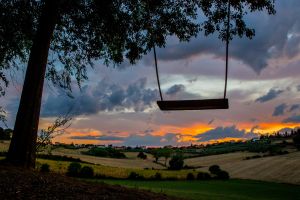 A swing hanging under the sunset sky, surrounded by a serene natural environment.