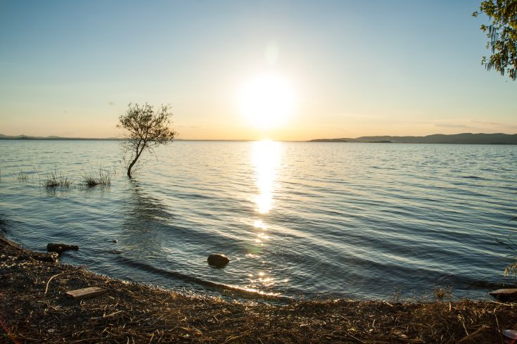 Sunset over the lake with a tree reflected in the calm water.