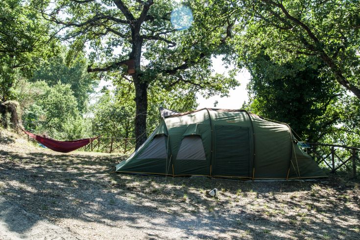 A green tent set in a forest area with a red hammock, surrounded by nature.
